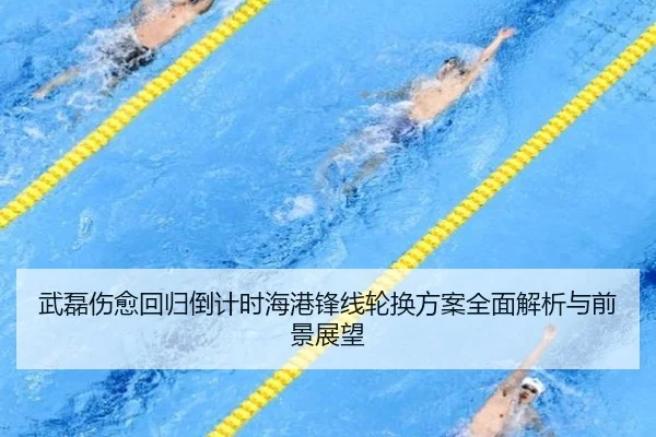 武磊伤愈回归倒计时海港锋线轮换方案全面解析与前景展望